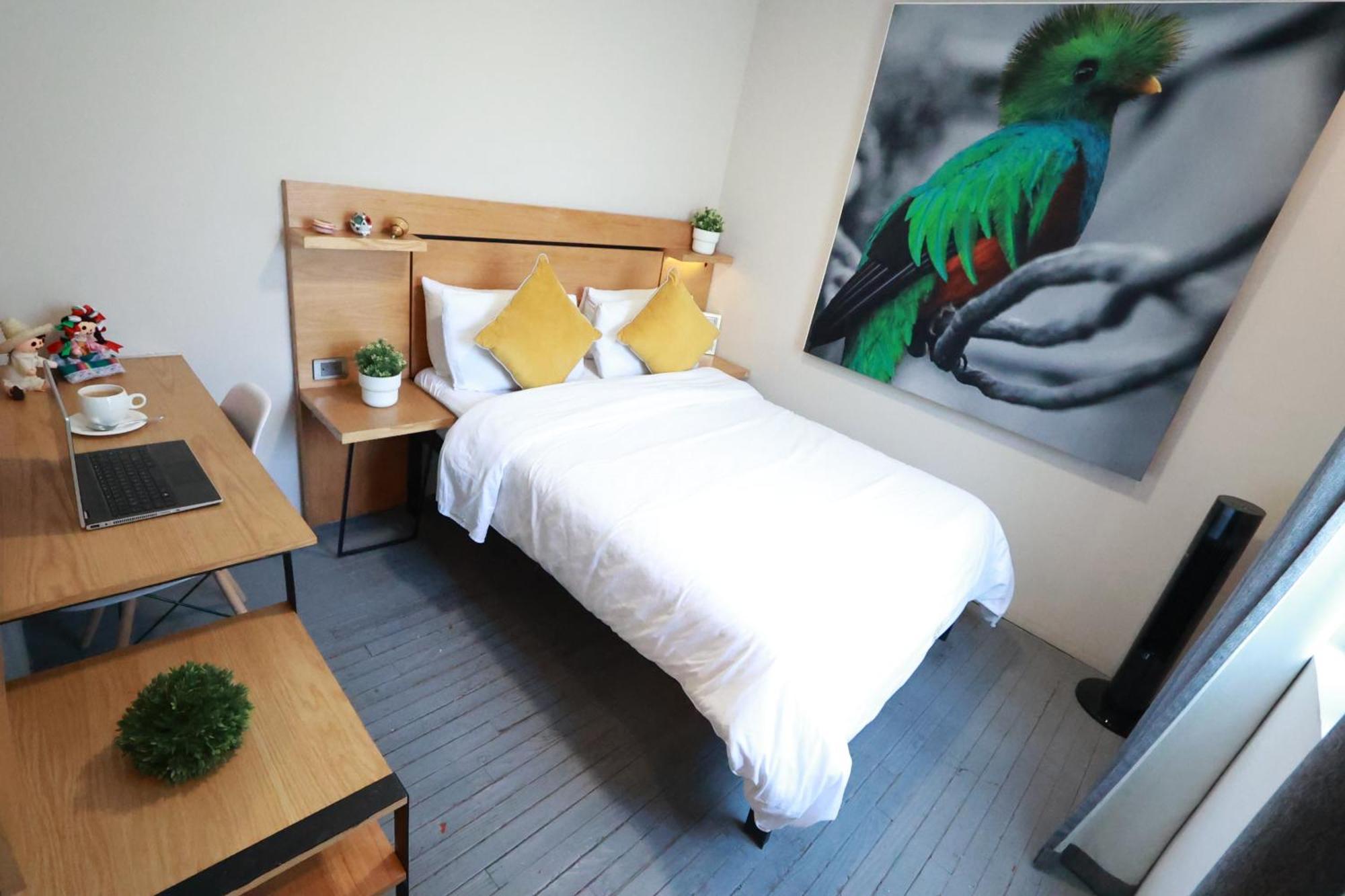 Bed and Breakfast Casa Panuco Meksyk Zewnętrze zdjęcie